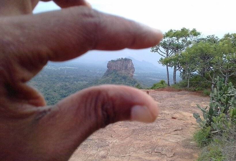 膳宿费 Elephant Safari Lodge Sigiriya Junction