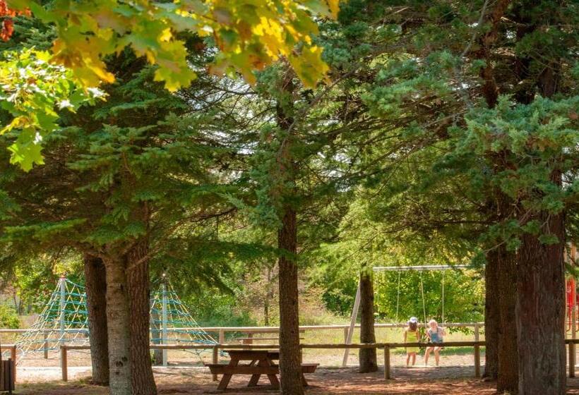 منتجع Vtf Le Domaine Du Grand Luberon