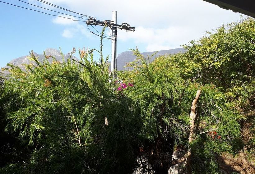 旅馆 Cape Town Backpackers