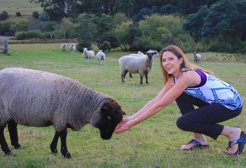 مبيت وإفطار Ashdowns Of Dover