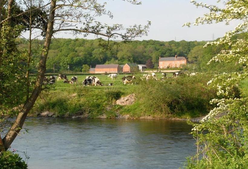 Bach Y Graig Farmhouse B&b