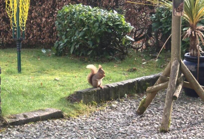 민박 Craignair Cottage