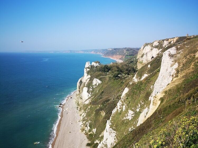 ベッドアンドブレックファースト Durham House