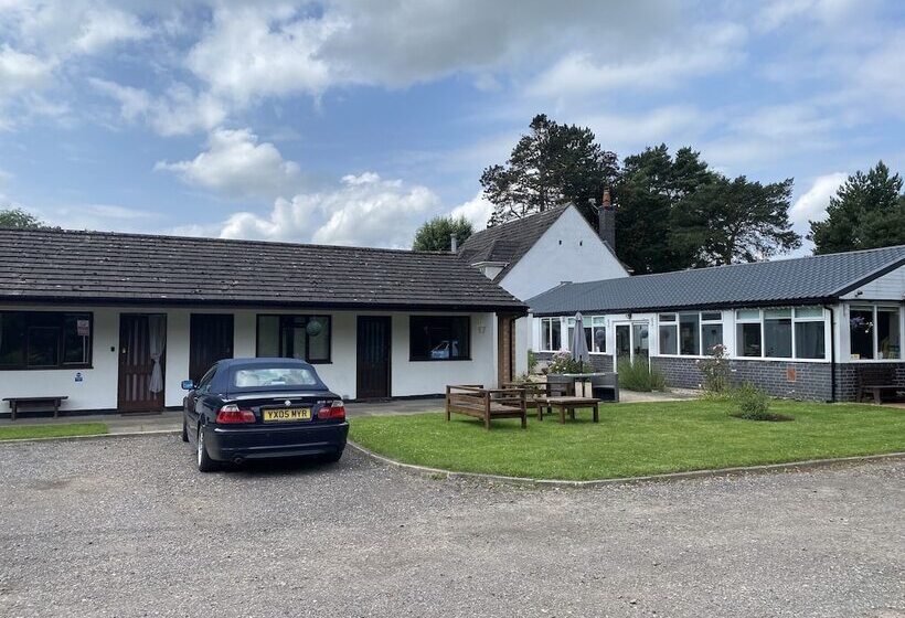 住宿加早餐  Pinewood Lodge