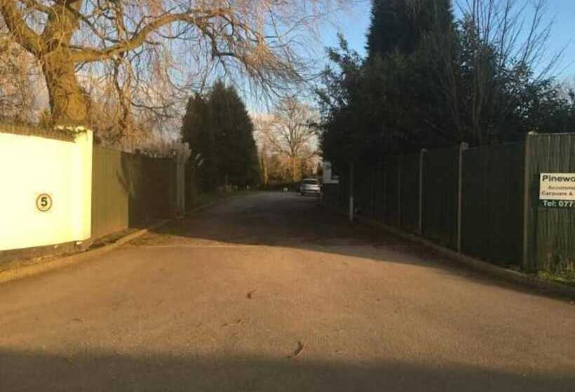 住宿加早餐  Pinewood Lodge