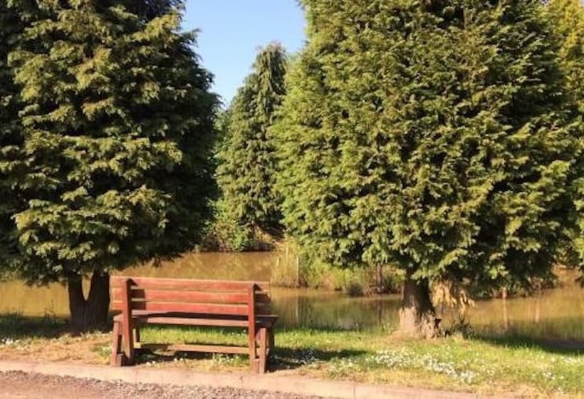 住宿加早餐  Pinewood Lodge