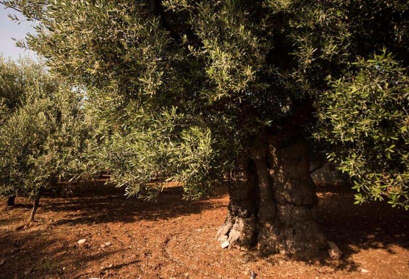 Il Sole Bed And Breakfast