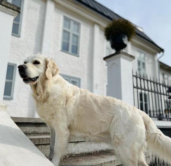 Bed and Breakfast Ruders Egendom