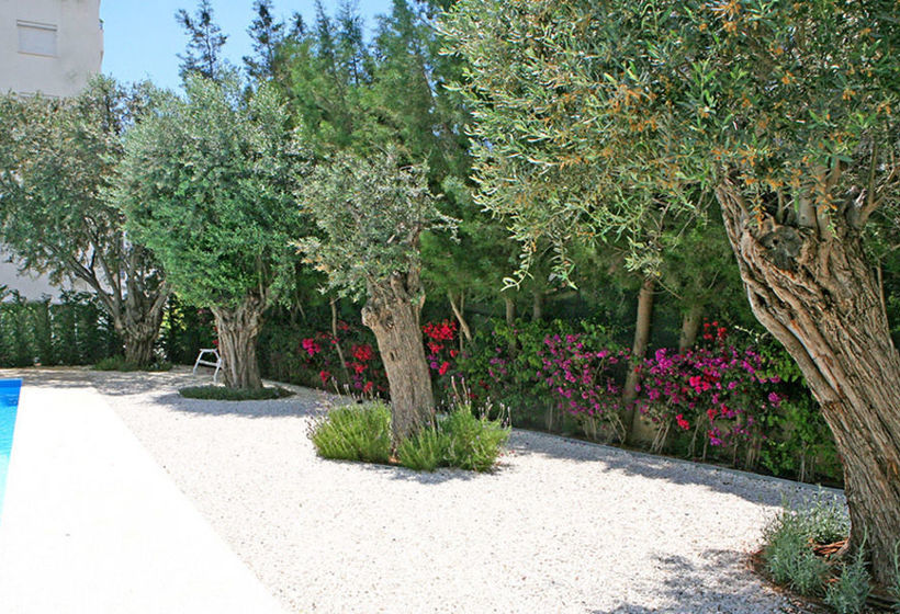 Corina Suites & Apartments