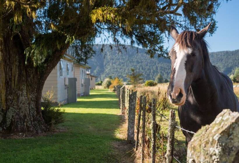 Fox Glacier Top 10 Holiday Park & Motels