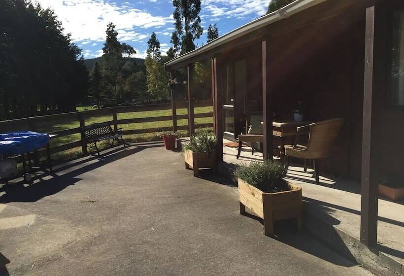 Height Of Dunedin Serviced Farm Stay