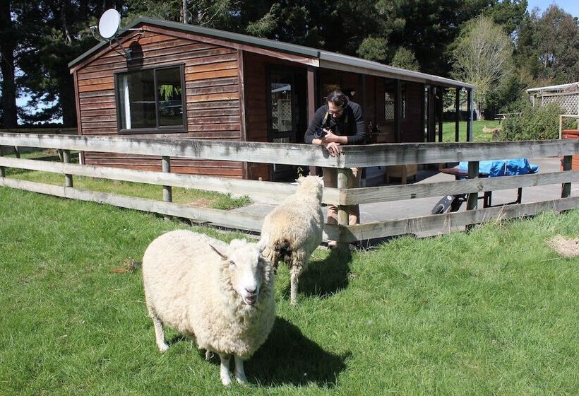Height Of Dunedin Serviced Farm Stay