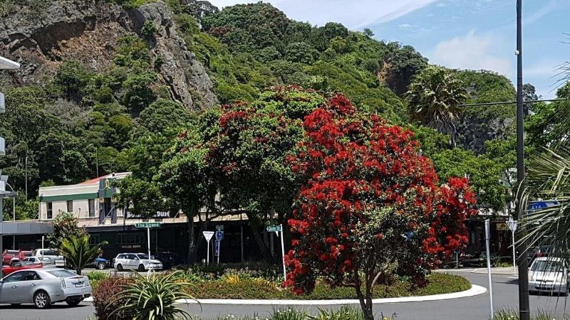 簡易ホテル Whakatane