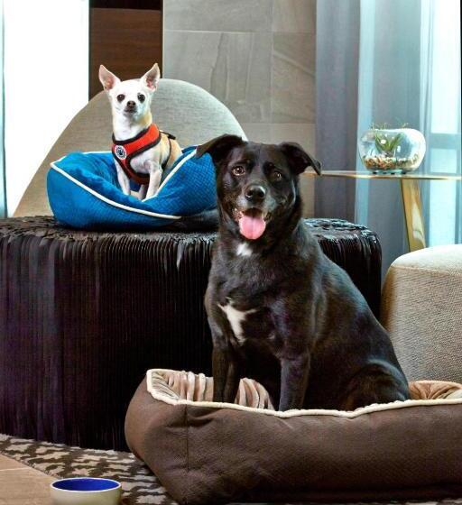 Ac Hotel By Marriott Portland Downtown, Or