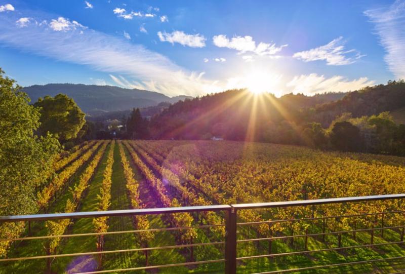 Отель Alila Napa Valley, A Hyatt Resort