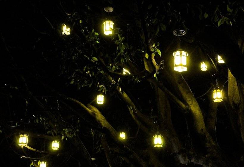 Отель Azul Turquesa