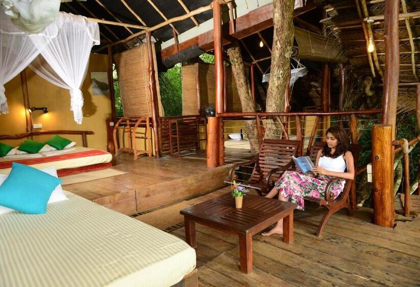 酒店 Back Of Beyond   Wild Haven