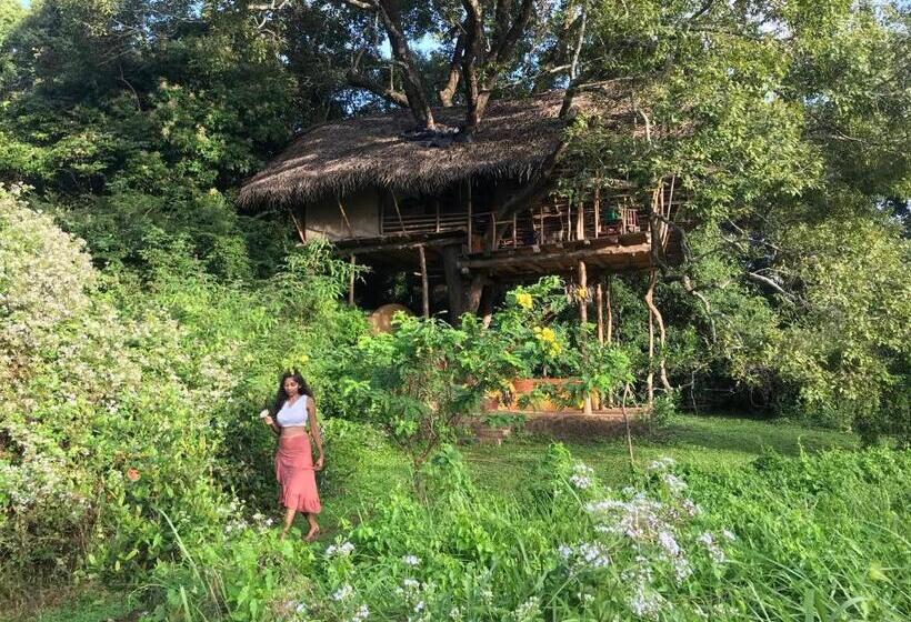 酒店 Back Of Beyond   Wild Haven