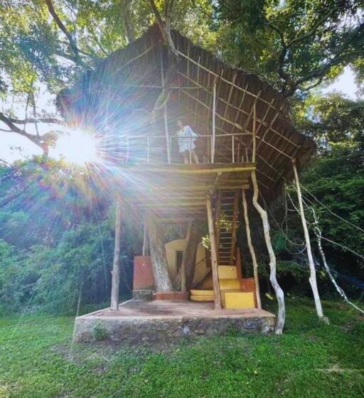 酒店 Back Of Beyond   Wild Haven