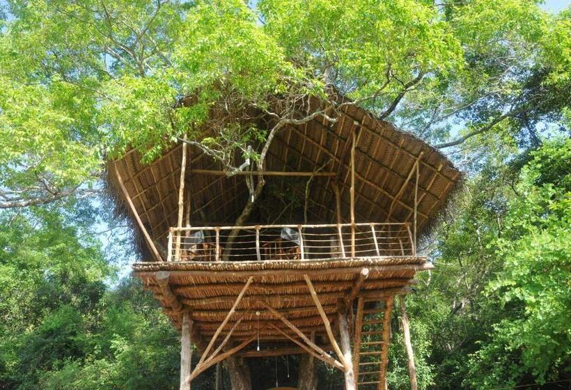 酒店 Back Of Beyond   Wild Haven