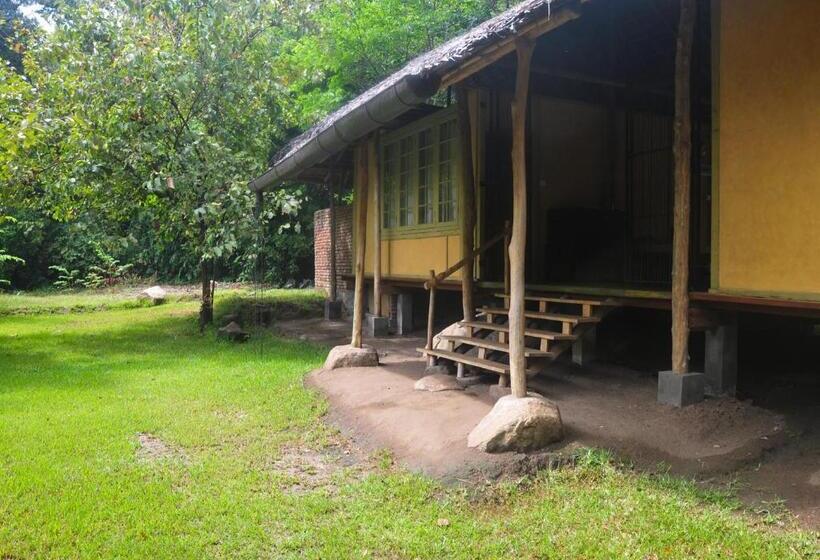 酒店 Back Of Beyond   Wild Haven