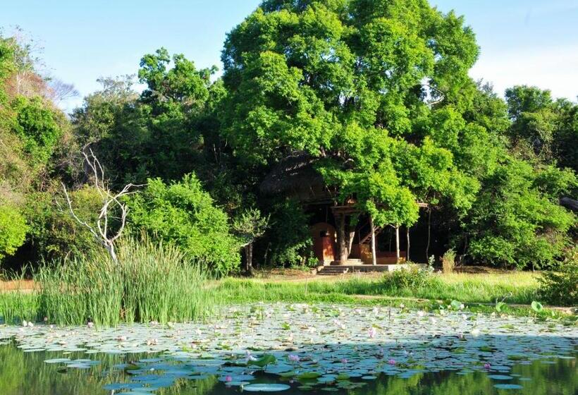 酒店 Back Of Beyond   Wild Haven