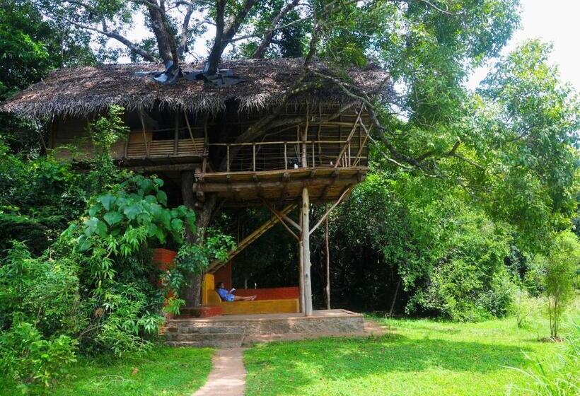 酒店 Back Of Beyond   Wild Haven