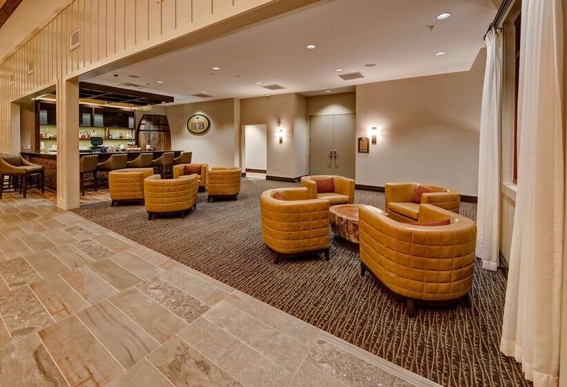 هتل Black Fox Lodge Pigeon Forge, Tapestry Collection By Hilton