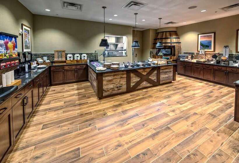 هتل Black Fox Lodge Pigeon Forge, Tapestry Collection By Hilton