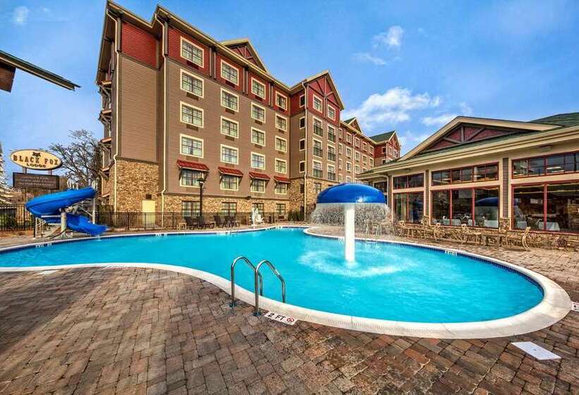 هتل Black Fox Lodge Pigeon Forge, Tapestry Collection By Hilton