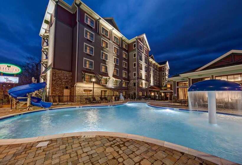 هتل Black Fox Lodge Pigeon Forge, Tapestry Collection By Hilton