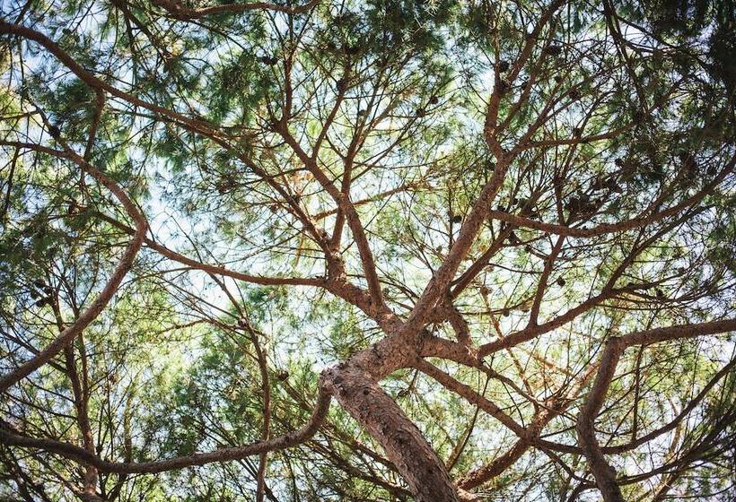 فندق Canado Club Family Village