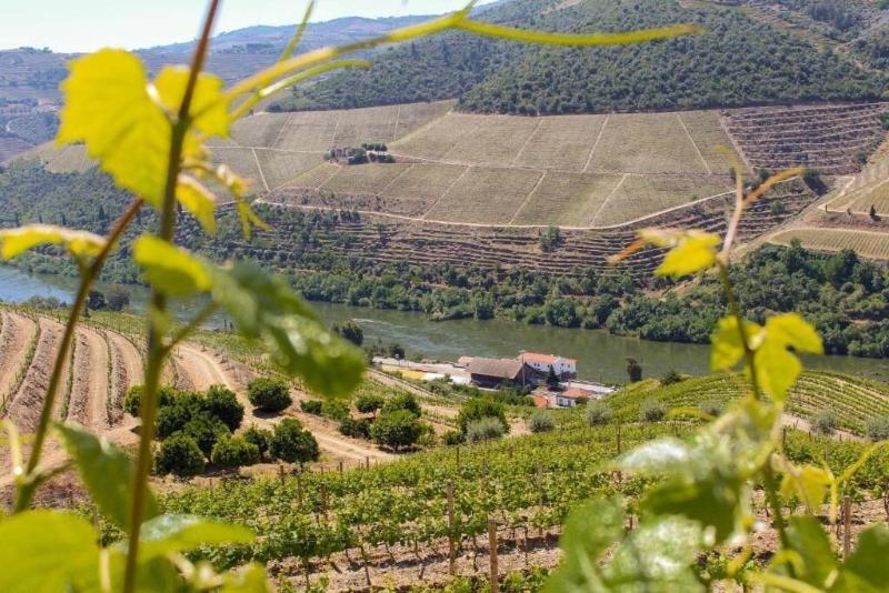 בית מלון כפרי Casa Do Tua