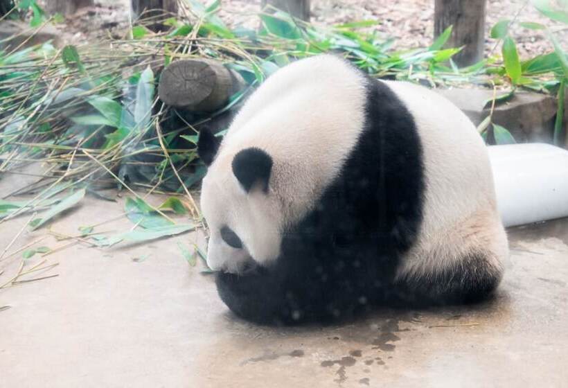 Chengdu Marriott Hotel Financial Centre