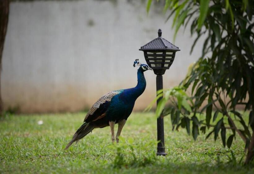 בית מלון כפרי Chenra