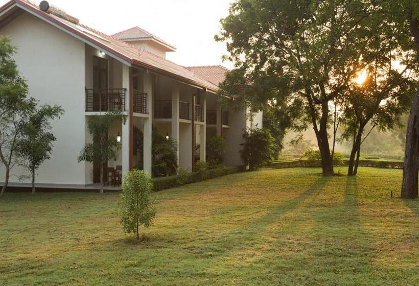 בית מלון כפרי Chenra