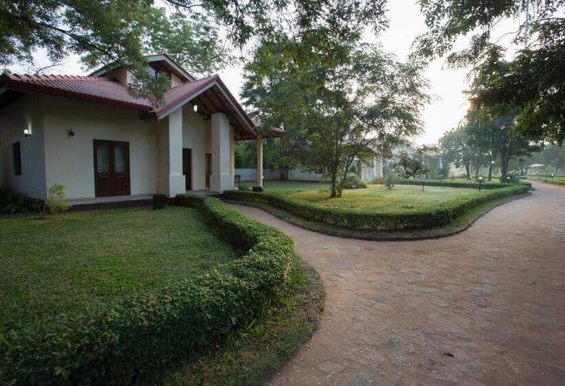 בית מלון כפרי Chenra