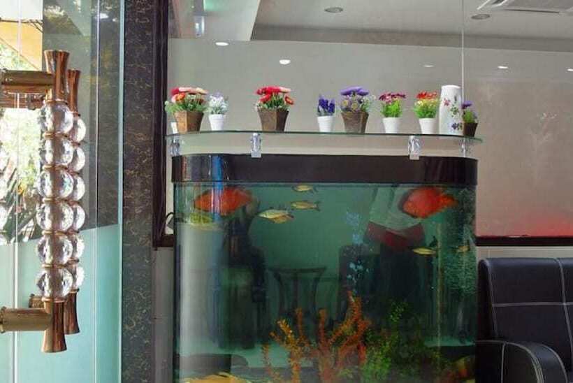 בית מלון כפרי Classic Kinabalu