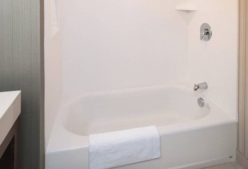 Отель Courtyard By Marriott Detroit Farmington