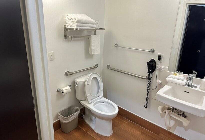 בית מלון כפרי Feather Factory