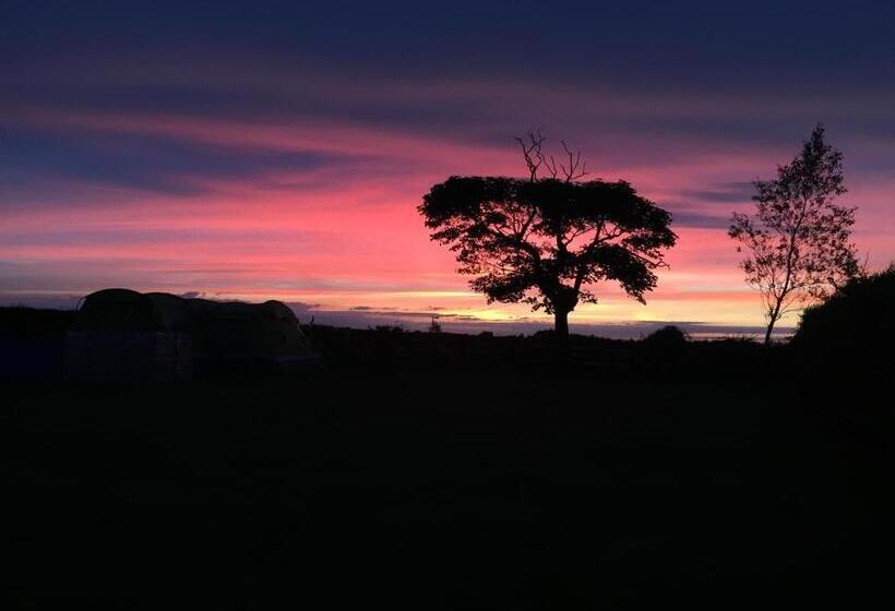 فندق Folly Hall Farm