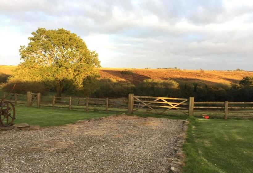 فندق Folly Hall Farm