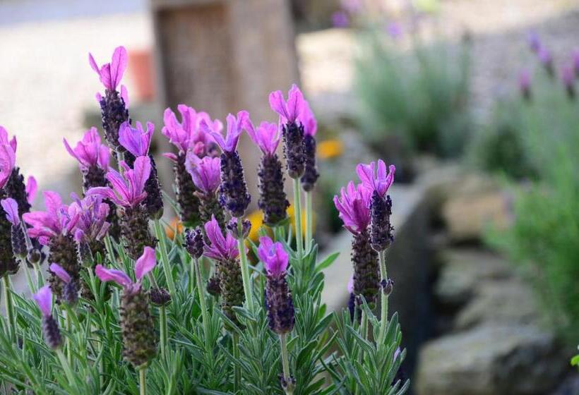 فندق Folly Hall Farm