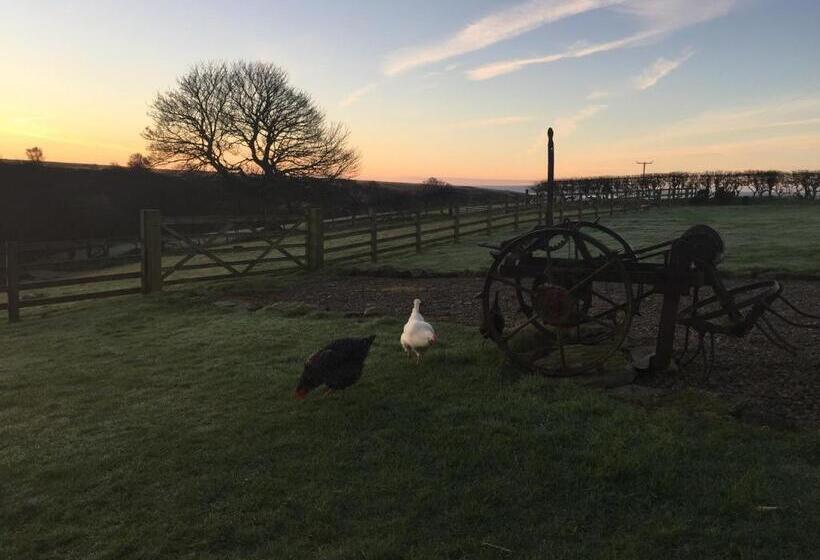 فندق Folly Hall Farm