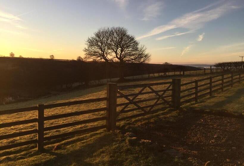 فندق Folly Hall Farm