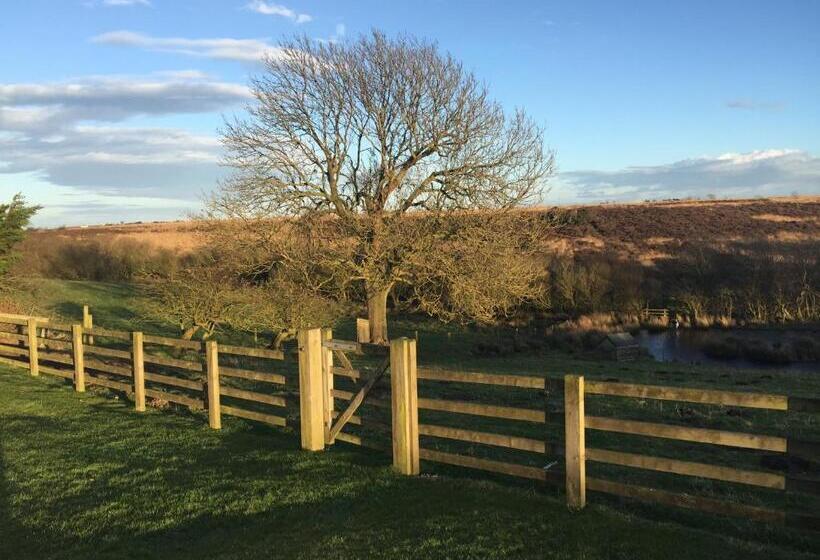 فندق Folly Hall Farm