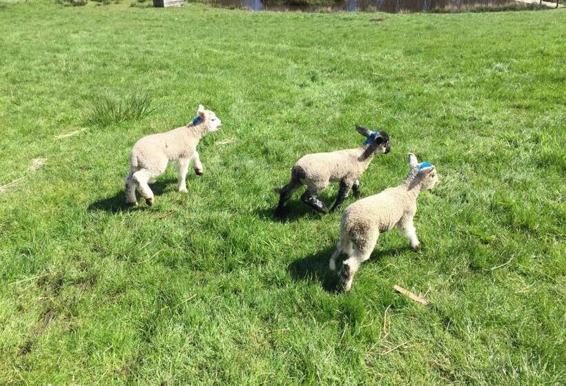 فندق Folly Hall Farm