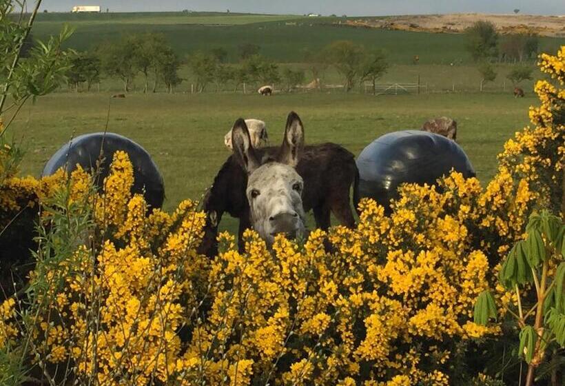 فندق Folly Hall Farm