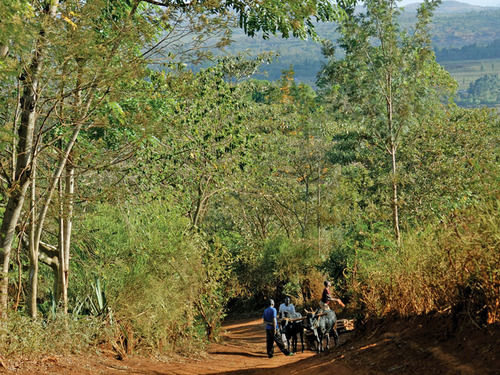 فندق Ganako Luxury Lodge