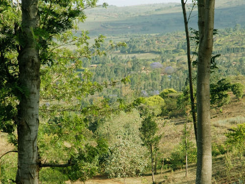 فندق Ganako Luxury Lodge